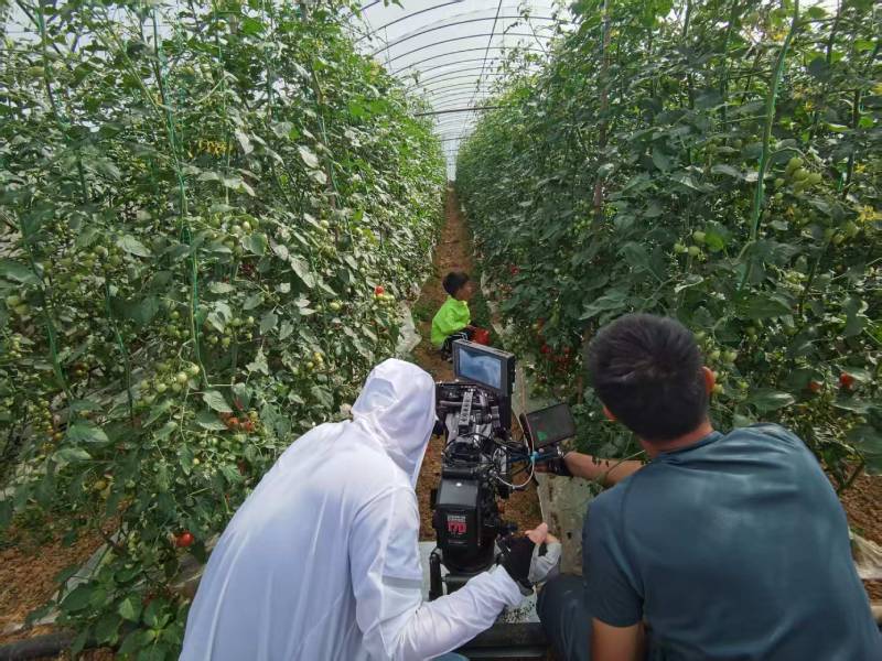 昔阳县产品宣传视频拍摄公司进阶指南，助力品牌抢占传播高地